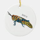 Search for grasshopper ornaments Insect