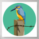 Recherche de kingfisher painting posters Animal
