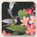 Recherche de plumes bar Nature