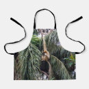 Search for primate aprons Monkey