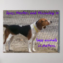Search for spayed posters Cats