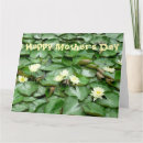 Search for lillies cards Flower