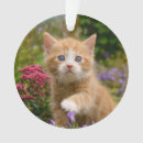Recherche de chats drôles ornements Pour enfants