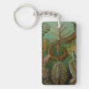 Search for worm keychains Illustration