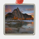 Search for cascades ornaments Washington