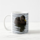 Search for mallard ducks mugs Photography