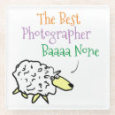 Recherche de moutons photographie Photographe