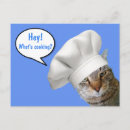 Search for cooking chef postcards Baking