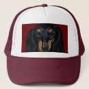 Search for hirsute hats Dachshund