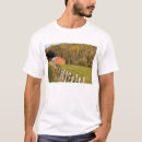 Search for barn tshirts Autumn