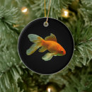 Search for goldfish ornaments Pet fish
