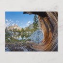 Search for ansel adams wilderness postcards Inyo national forest