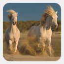 Search for running horses stickers France