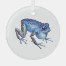 Search for dart ornaments Wildlife