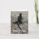 Recherche de lizzard vœux cartes Faune