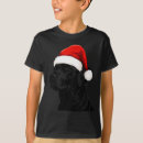 Search for black lab christmas tshirts Santa
