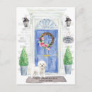 Recherche de bichon frise postcards Chien