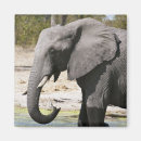 Search for game reserve magnets Africa