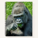 Recherche de primates carnets Gorille