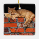 Search for wall ornaments Orange
