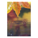 Search for water drops leafs posters Dew