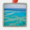 Search for queensland ornaments Tropical