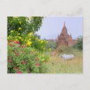 Recherche de bagan cartes postales Pagode