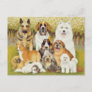 Recherche de chien de st bernard cartes postales Dog