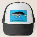 Search for blue whale hats Wildlife