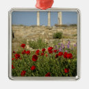 Search for stones ornaments Landscape