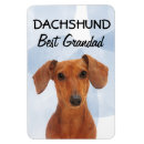 Recherche de dachshund maison deco Animaux domestiques