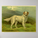Search for english setter art Pet
