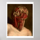 Recherche de épaule posters Anatomie