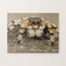 Recherche de spider puzzles Arachnide