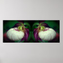 Recherche de pinces posters Mother
