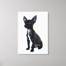 Search for chihuahua dog canvas prints Dogs