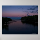 Search for full moon posters Tree