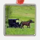Search for amish ornaments Buggy