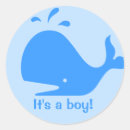 Recherche de baleine Baby