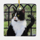 Search for tuxedo cat ornaments Cute