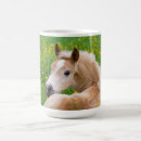 Search for haflinger horse mugs Ponies