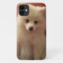 Search for pomeranian dog iphone cases Cute
