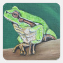 Recherche de peinture de grenouille autocollants Amphibien