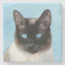 Recherche de chat siamois dessous de verres Chaton