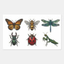 Search for big bug stickers Dragonfly