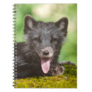 Search for habitat notebooks Wildlife