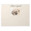 Search for tibetan spaniel Dog