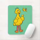 Search for big cousin electronics Little bird