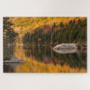 Search for new forest puzzles Adam jones