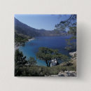 Search for shorelines buttons Tropical